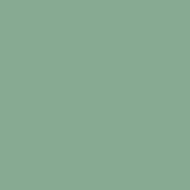 SilikonColor Baumit 14 l - odstín 1013