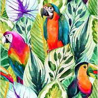 Skleněný panel 60/60 Jungle Birds-1 Esg