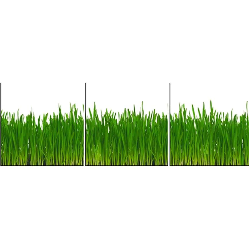 Skleněný panel 60/180 Grass 3-Elem