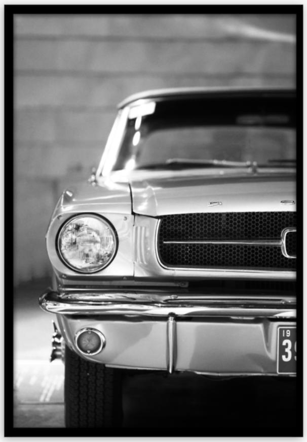Obraz Framepick 50x70 Mustang