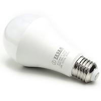 LED žárovka Bulb 14W E27 6500K