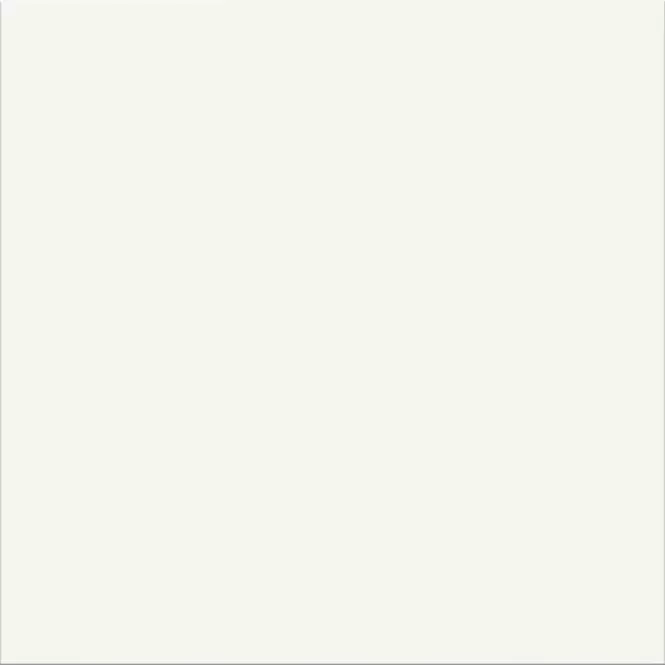Dlažba White 29,8/29,8