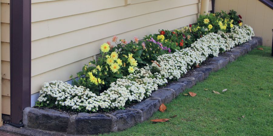 Koncept zahonů podél zdi domu. Kde začít a jak naplánovat květinový záhon před vaším domem?