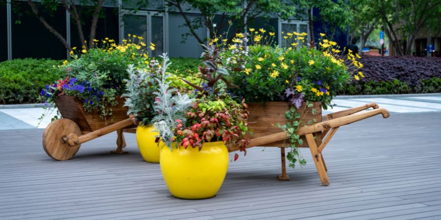 Jak sázet rostliny do velkých květináčů na terase?